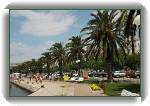 Makarska riva * Makarska palm-dotted riva * 800 x 531 * (107KB)